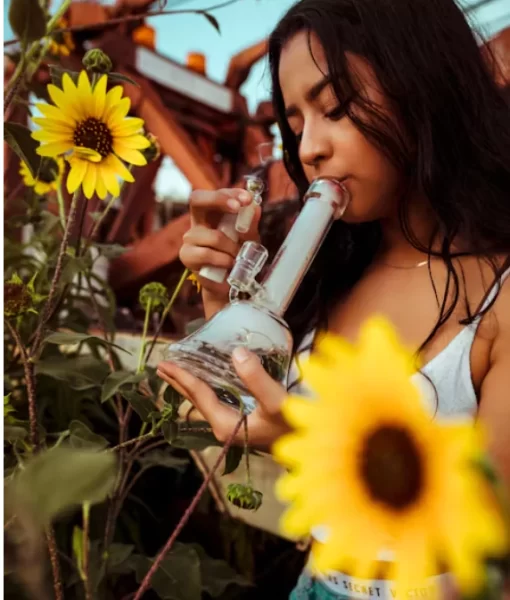 The Chemistry Behind Why Bongs Get You Higher than Joints插图