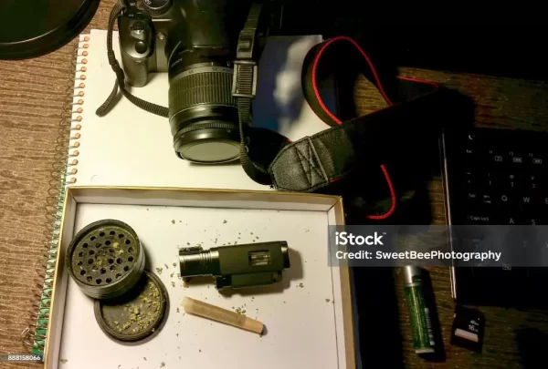 5 Signs Your Weed Grinder Is High-Quality and Reliable插图1