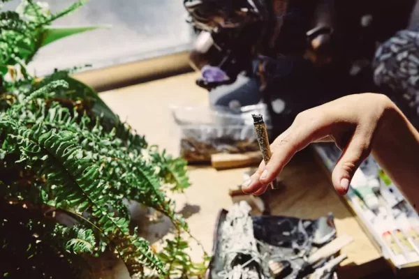 Do Expert Growers Use a Weed Grinder to Grind All Weed at Once?插图