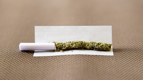 Maximizing Your Cannabis Experience with Quality Rolling Paper插图